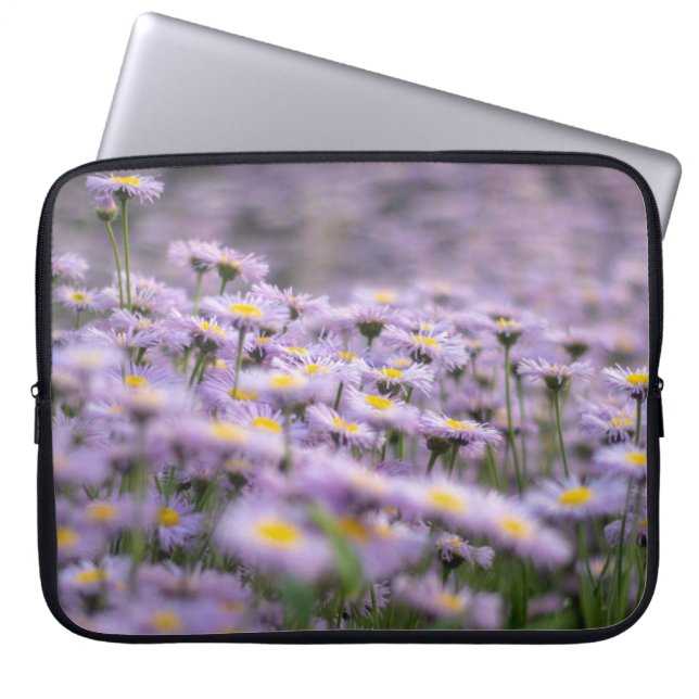 Capa Para Notebook Flores de Aster Roxo (Frente)