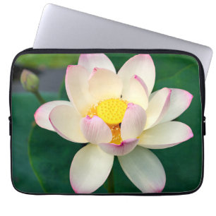 Capa Para Notebook Flores Flor de Água Lotus