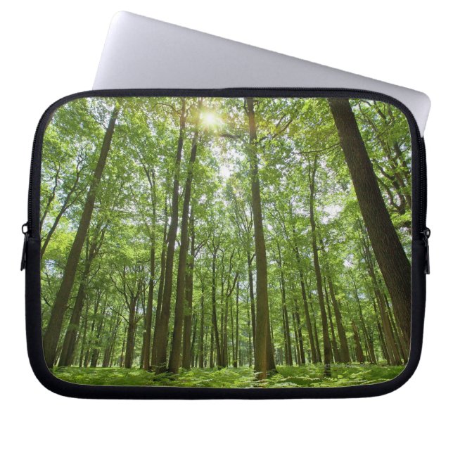 Capa Para Notebook Floresta com Sun atrás (Frente)