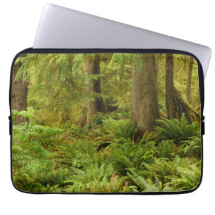 Capa Para Notebook Floresta Exuberante & Samambaias Parque Estadual