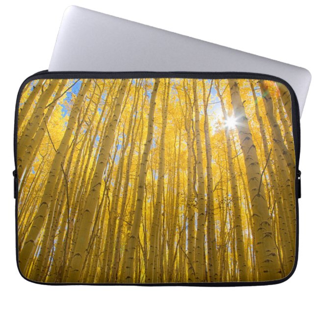 Capa Para Notebook Floresta Nacional de White River (Frente)