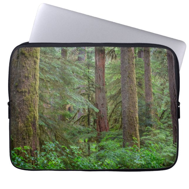 Capa Para Notebook Floresta Nacional Willamette | Oregon (Frente)
