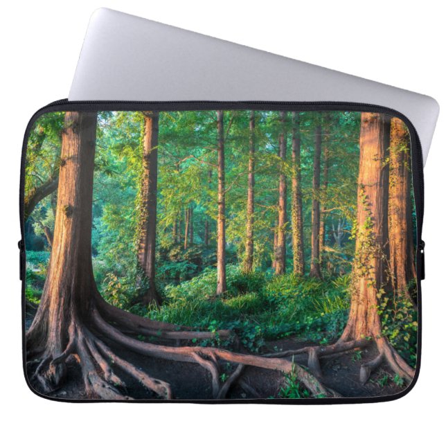 Capa Para Notebook Floresta no verão (Frente)