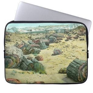 Capa Para Notebook Floresta Petrified