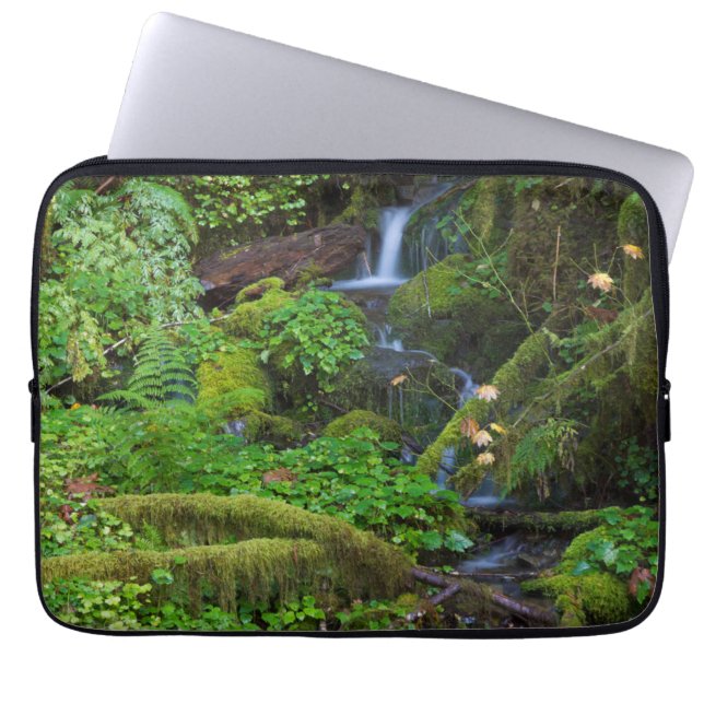 Capa Para Notebook Floresta tropical de outono | Parque Nacional Olym (Frente)