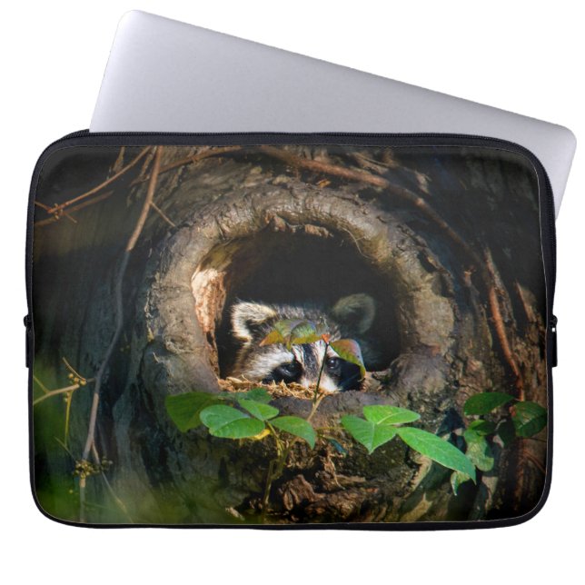 Capa Para Notebook Florestas | Raccoon Peeking (Frente)