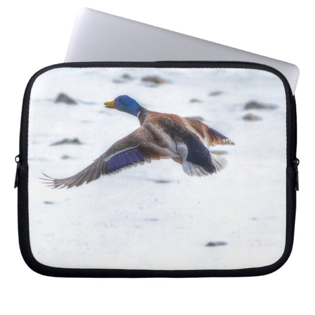 Capa Para Notebook Flying Mallard Duck Drake 15 Wildlife Foto (Frente)