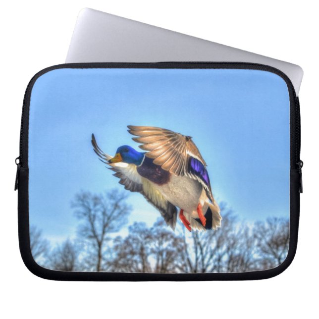Capa Para Notebook Flying Mallard Duck Drake Wildlife Foto (Frente)