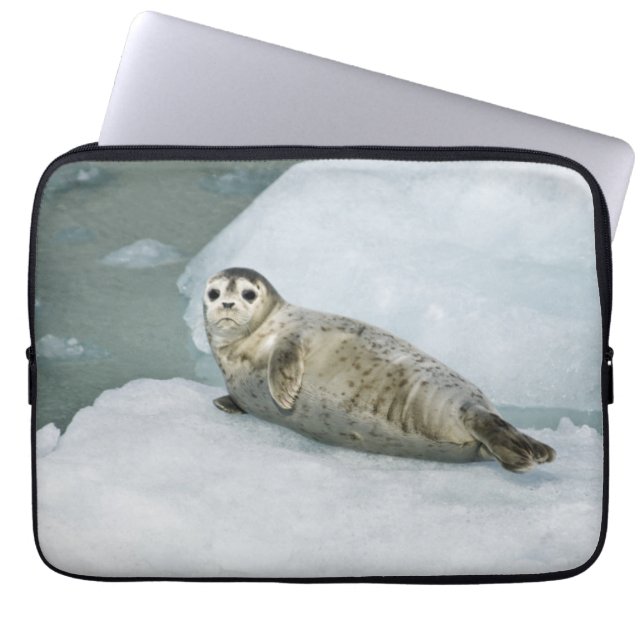 Capa Para Notebook Foca-branca do porto na neve (Frente)