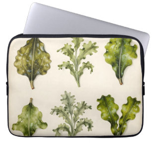 Capa Para Notebook Folhas de Alface Vintage Herbário Botânico Verde