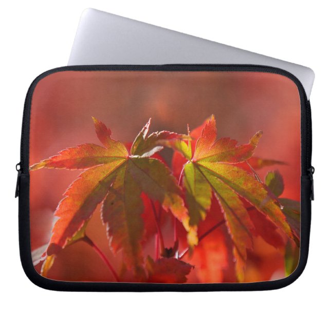 Capa Para Notebook Folhas de Mapeamento Japonesas (Frente)