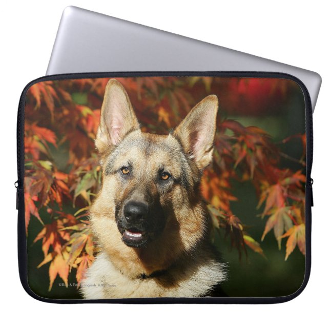 Capa Para Notebook Folhas de outono do german shepherd (Frente)