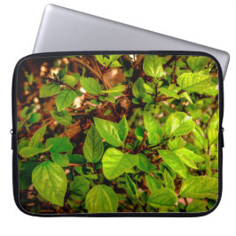 Capa Para Notebook Folhas e Sol