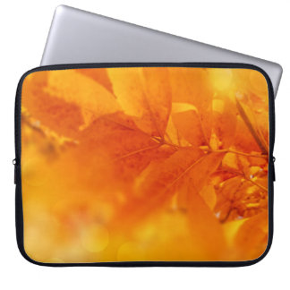 Capa Para Notebook Folhetos de Brilho de outono de eletrônicos