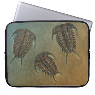 Capa Para Notebook fóssil Trilobite de Ceraurus do "Paleo-chique"