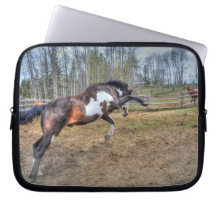 Capa Para Notebook Foto de ação de Pinto Stallion Equine