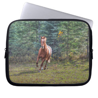 Capa Para Notebook Foto de Cavalo Equino Ranch