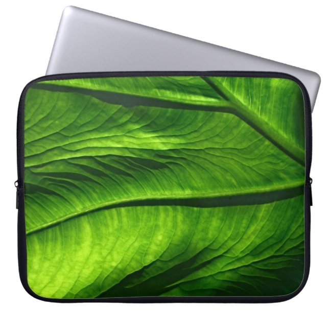 Capa Para Notebook Foto de encerramento da folha verde (Frente)
