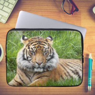 Capa Para Notebook Foto de Sumatran Tiger Wildlife