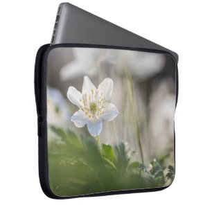 Capa Para Notebook Foto Windflower Nature