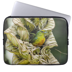 Capa Para Notebook Fotografia Aviária, Euphonia Torcida