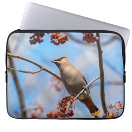 Capa Para Notebook Fotografia Aviária, Waxwing Boêmian