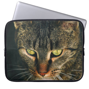 CAPA PARA NOTEBOOK FOTOGRAFIA DE FECHAMENTO DE CINZAS POR GATO