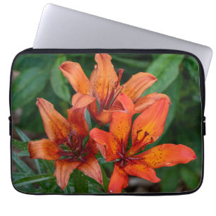 Capa Para Notebook Fotografia de Flor Canadiana Laranja Daylily