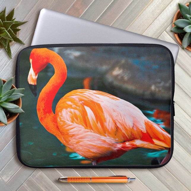Capa Para Notebook Fotografia de Pássaro Flamingo Rosa Linda Moderna (Criador carregado)