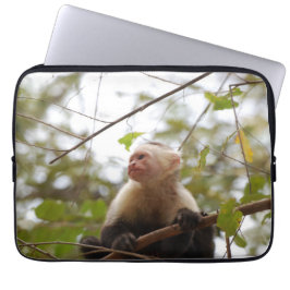 Capa Para Notebook Fotografia do macaco, Capuchin de face branca