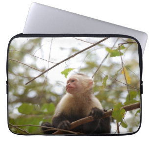 Capa Para Notebook Fotografia do macaco, Capuchin de face branca