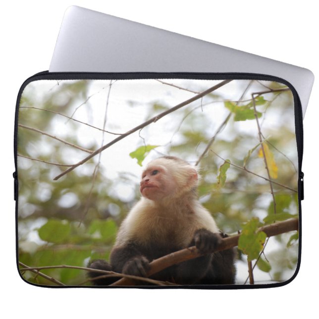 Capa Para Notebook Fotografia do macaco, Capuchin de face branca (Frente)