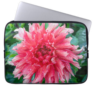 Capa Para Notebook Fotografia Rosa Dahlia, Flor Canadense