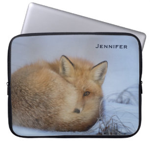 Capa Para Notebook Fotos de uma pequena raposa fofa enrolada no inver