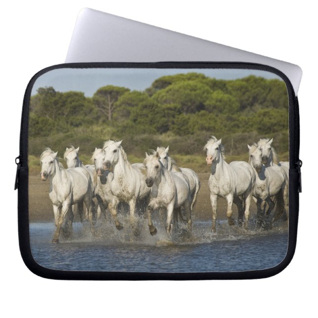 Capa Para Notebook França, Camargue. Cavalos atravessam o estuário 3 (Frente)