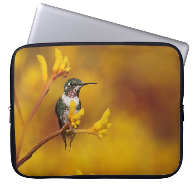 Capa Para Notebook Fulgor dourado (Frente)