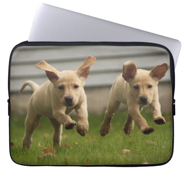 Capa Para Notebook Funcionamento amarelo dos filhotes de cachorro de (Frente)