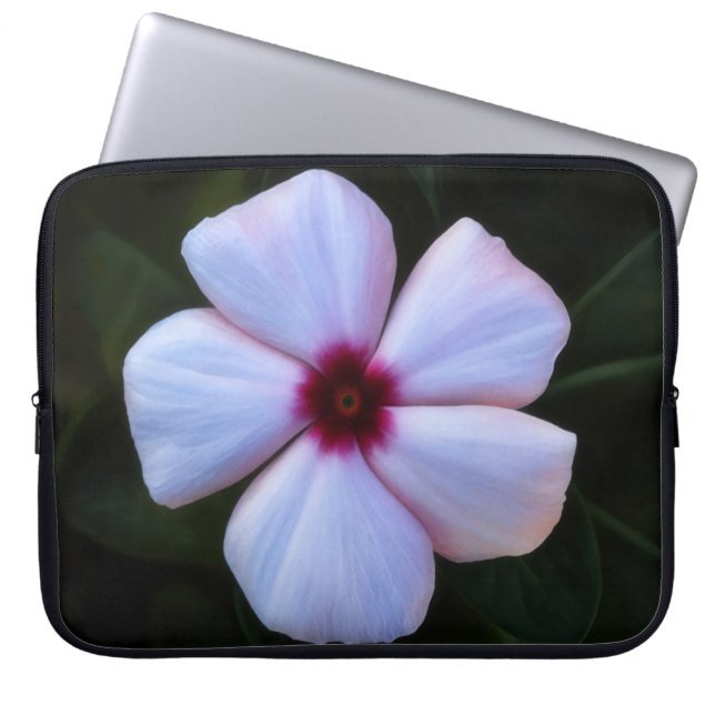 Capa Para Notebook Funda para Laptop Flor de Jardim Escuro Rosa (Frente)