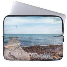 Gaivotas voando sobre a baía