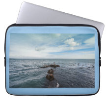 Gaivotas voando sobre as rochas