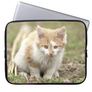 Capa Para Notebook Galo fotográfico, capas laptop de animais.