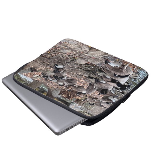 Capa Para Notebook Gansos no Parque (Frente Inferior)