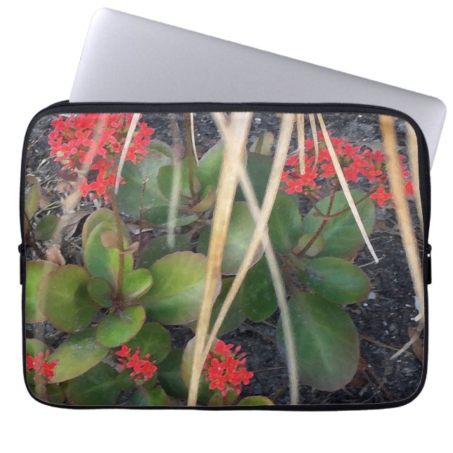 Capa Para Notebook Garden Breeze (Frente)