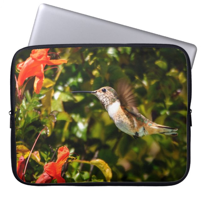 Capa Para Notebook Garden Jewel: Hummingbird in Bloom (Frente)