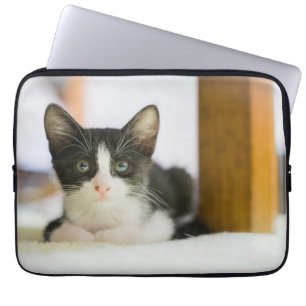 Capa Para Notebook Gatinho branco e preto doce