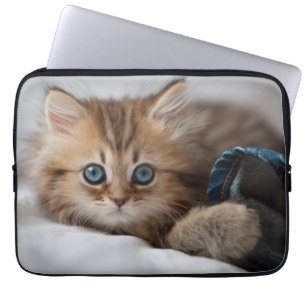 Capa Para Notebook Gatinho com olhos azuis