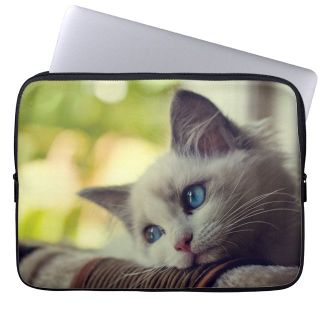Capa Para Notebook Gatinho de Ragdoll (Frente)
