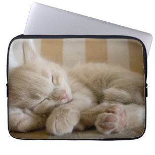 Capa Para Notebook Gatinho do sono