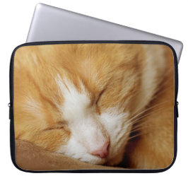 Capa Para Notebook Gatinho Dormindo
