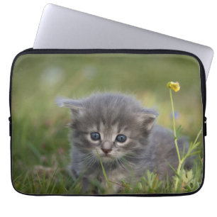 Capa Para Notebook Gatinho Fofo Personalizado
